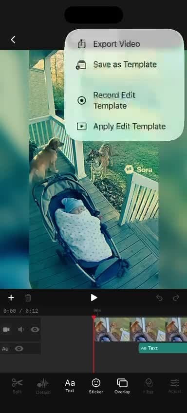 Template save and apply menu inside Videdit